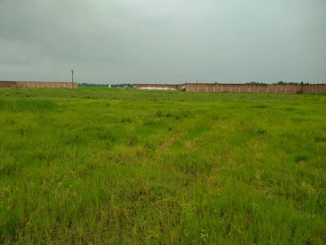 30 sqft warehouse in kolkata, West Bengal — photo 1 of 22