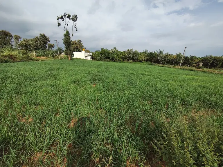 1,74,240 sqft warehouse in Bengaluru, Karnataka