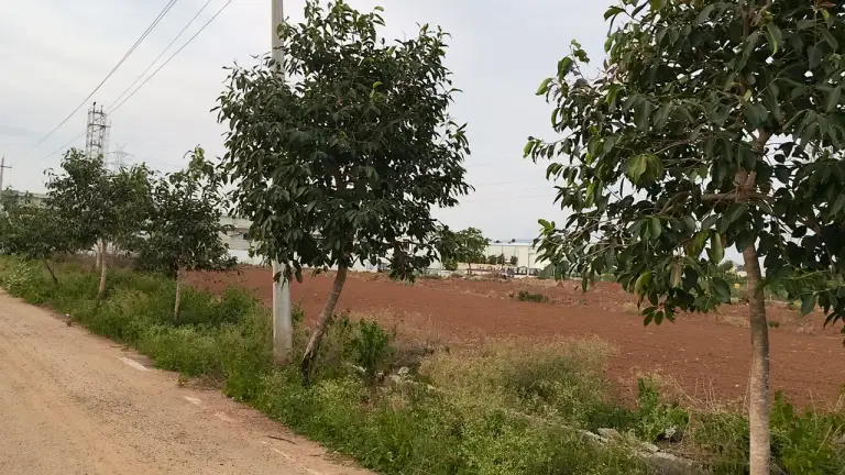 25,000 sqft warehouse in Bengaluru, Karnataka