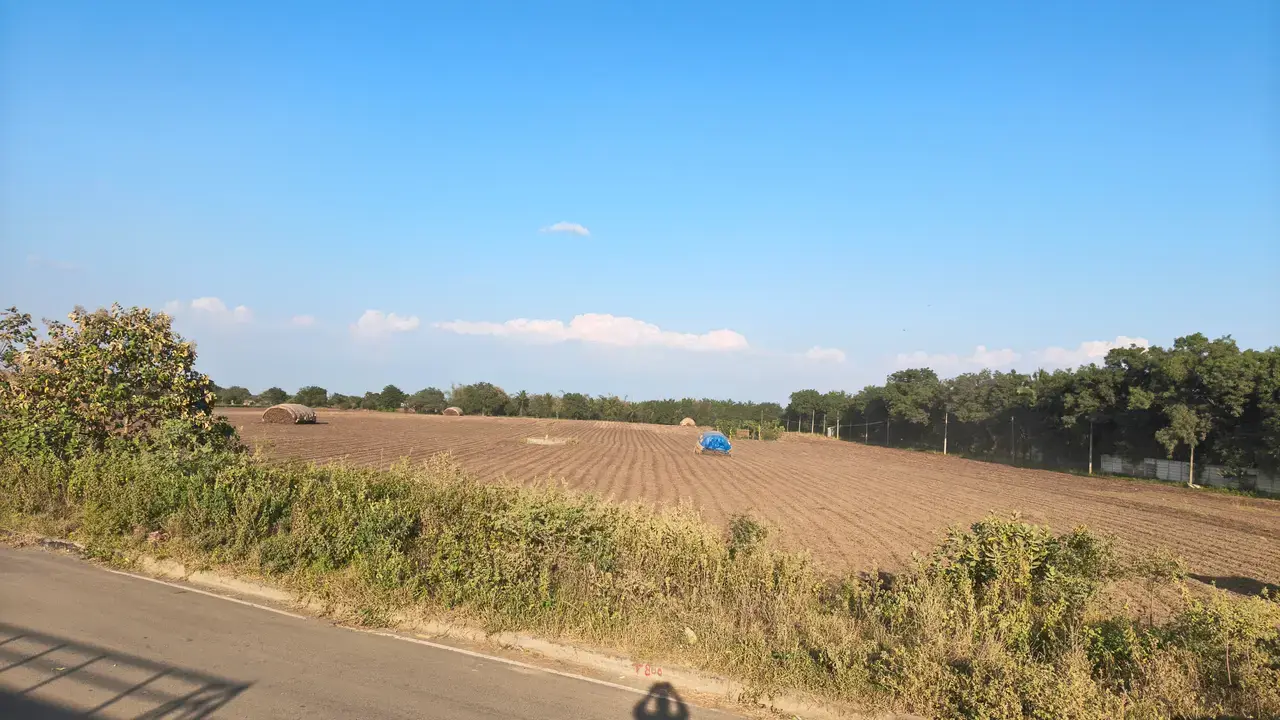 Open cultivated field beside a paved road, with shrubs, trees, and a small blue vehicle under a clear sky.